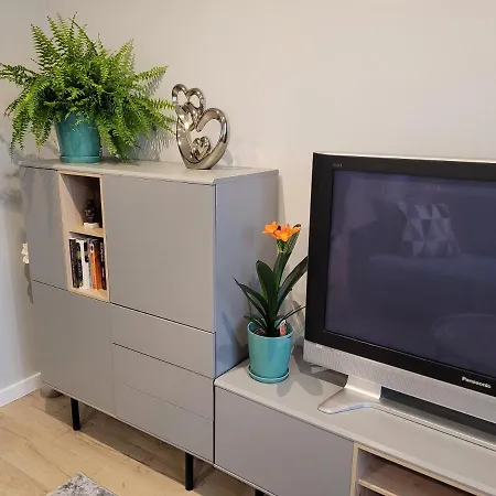 Milenijna 2 Nowa Wieś Malbork