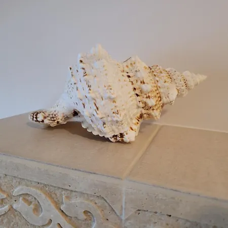 Milenijna 2 Nowa Wies דירה מאלבורק