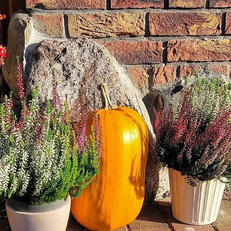 Milenijna 2 Nowa Wieś Apartament Malbork