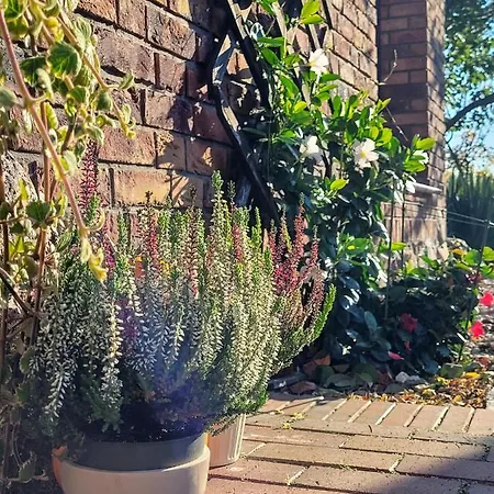 Milenijna 2 Nowa Wieś * Malbork