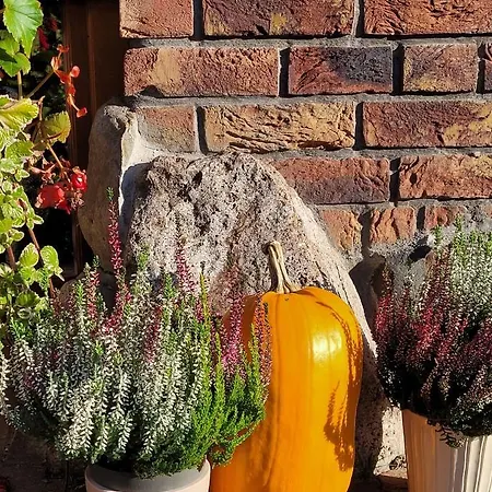 Milenijna 2 Nowa Wies מאלבורק