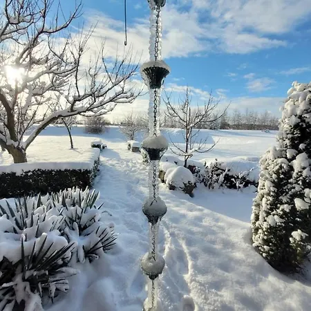 Milenijna 2 Nowa Wieś