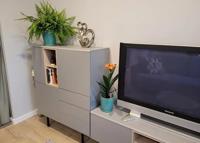 Milenijna 2 Nowa Wies Malbork