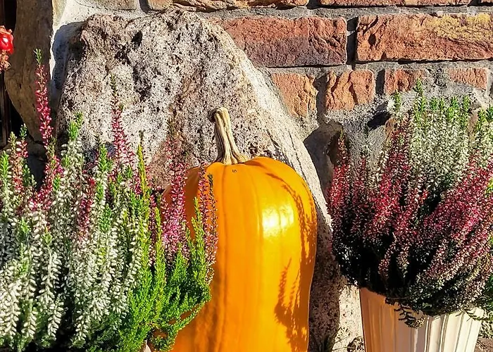 Milenijna 2 Nowa Wies Apartamento Malbork