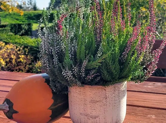 Apartamento Milenijna 2 Nowa Wies *