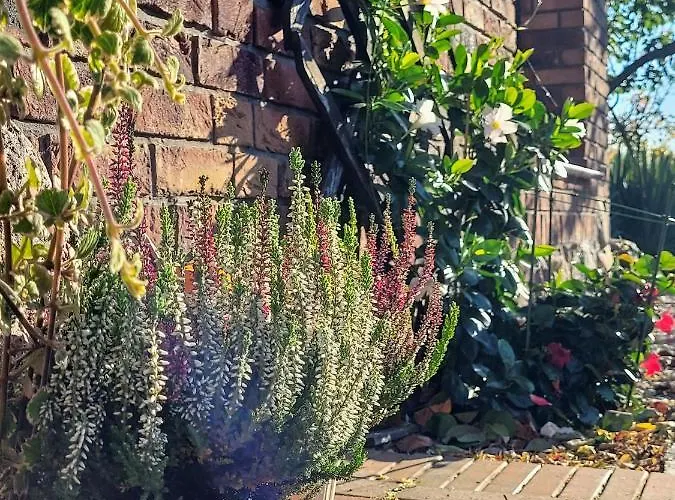 Milenijna 2 Nowa Wies * Malbork