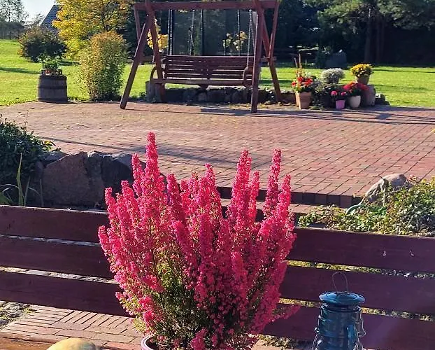 Milenijna 2 Nowa Wies