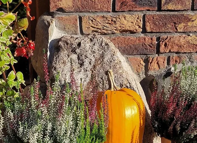 Milenijna 2 Nowa Wies Malbork