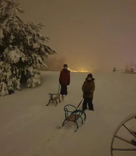 Milenijna 2 Nowa Wies * Malbork